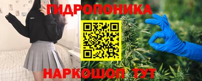 бошки Донской