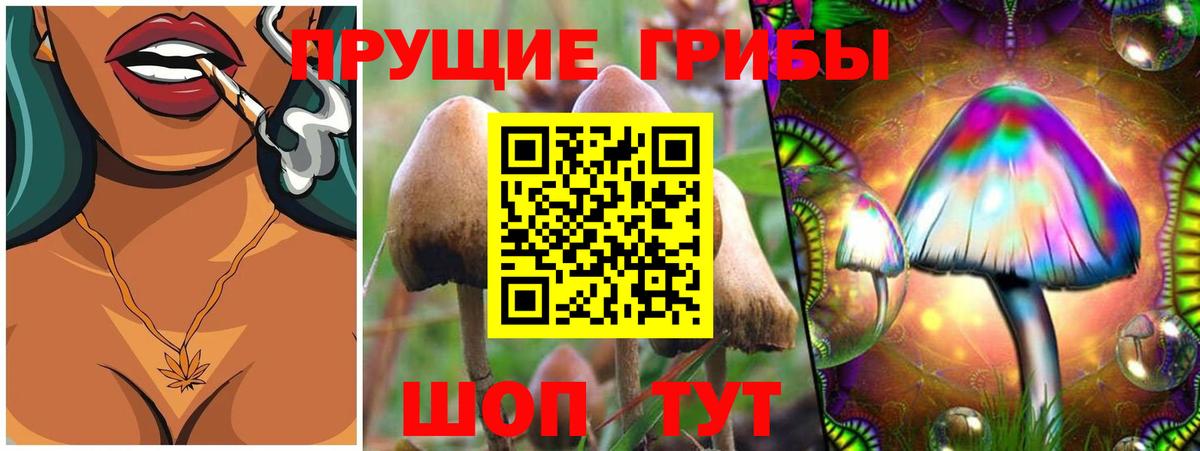 Зеленодольск  Галлюциногенные грибы прущие грибы  как найти   Вход с VPN  Псилоцибиновые грибы Psilocybe 